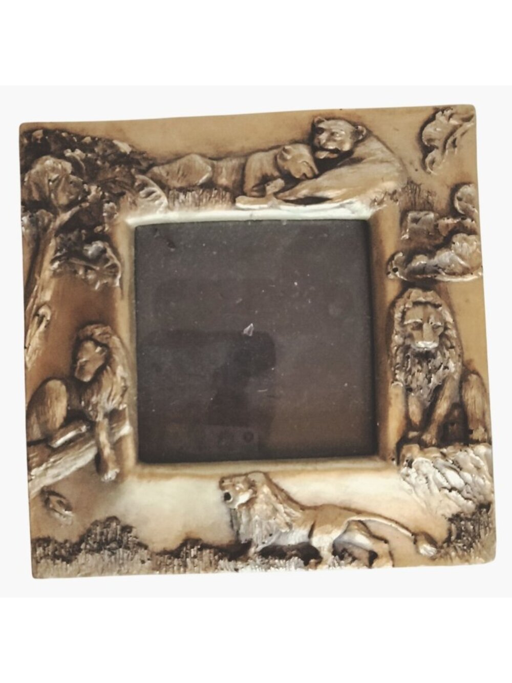 Pier1 Photo Frame Golden Safari Lions Embossed
